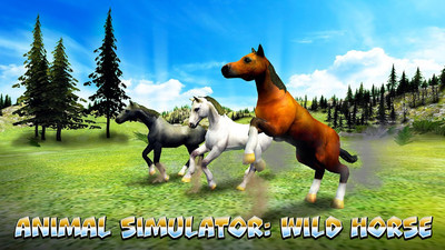 动物模拟器野马
