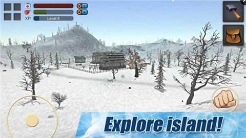 生存游戏冬季岛屿
