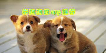 养狗狗的app推荐