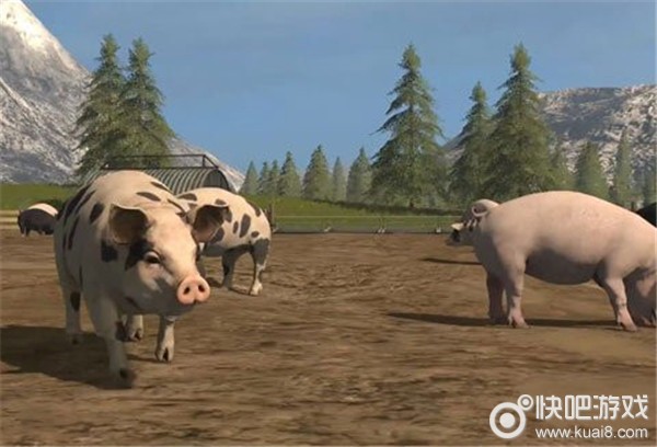 模拟农场17猪圈怎么清扫_清理猪圈方法详解