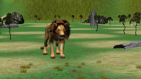 狮子追求模拟器