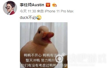 duck不必梗介绍