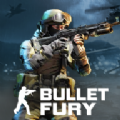 BulletFury