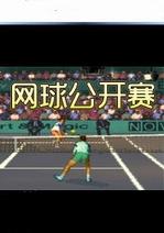 网球公开赛中文版