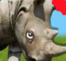 终极犀牛模拟器安卓版