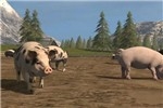 《模拟农场17》清理猪圈方法